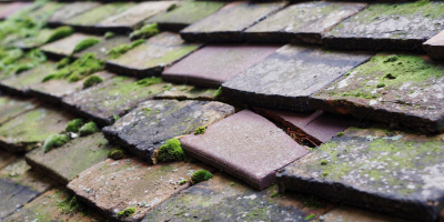 Dyffryn Arth roof repair costs